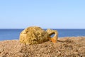 Ancient amphora lying on the sand against the blue sky, found in Greece Royalty Free Stock Photo