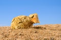 Ancient amphora lying on the sand against the blue sky, Greece Royalty Free Stock Photo