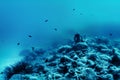 Amphora reef, Hersonissos, Crete, Greece