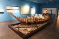 Ancient Amphoras in Alanya Museum, Antalya, Turkey Royalty Free Stock Photo