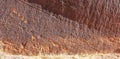 Ancient Anasazi Petroglyphs in Page, Arizona