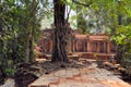 Ancient Angkor Era temple overgrown by trees Royalty Free Stock Photo