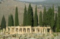 Ancient antique column ruins of Hierapolis Royalty Free Stock Photo