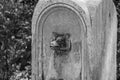 An ancient antique drinking fountain nose of a rim in the shape of a wolf`s head from which water flows Royalty Free Stock Photo