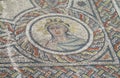 Ancient antique floor mosaic in ruins of Volubilis, Morocco Royalty Free Stock Photo