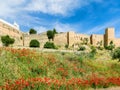The ancient Arab Walls in summer with wild red poppy flowers, Ronda, Spain