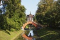 Ancient arbor with reflection in water Royalty Free Stock Photo