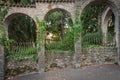 Ancient arched wall fence backgrounds with ivy league