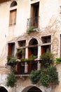 Windows with balcony and flowers Royalty Free Stock Photo