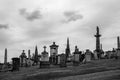 Ancient Architecture at Glasgow Necropolis is a Victorian cemetery in Glasgow and is a prominent feature in the city centre of Royalty Free Stock Photo