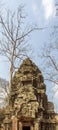 Ancient architecture in Ta Prohm temple, Angkor Thom, Siem Reap, Cambodia. Royalty Free Stock Photo