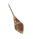 Ancient arrowhead isolated on white background. Ancient arrowhead Kyiv Rus