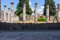 Ancient backyard with columns and trees in Pompeii, Italy. Antique culture concept. Pompeii ruins.