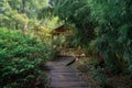 Ancient bamboo cabin and the path, Suzhou garden, in China