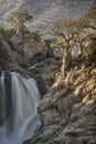 Baobab at Epupa Falls, Namibia Royalty Free Stock Photo