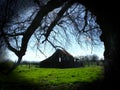 Ancient barn and tree waiting Royalty Free Stock Photo