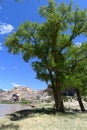 The Scenic Beauty of Colorado. Beautiful Dramatic Landscapes in Dinosaur National Monument, Colorado Royalty Free Stock Photo