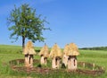Ancient beehives on a meadow, Ukraine Royalty Free Stock Photo