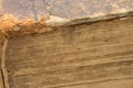 Ancient bible - old book - pages closeup Royalty Free Stock Photo