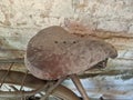 Ancient bicycle saddles were made of hard leather, looked dirty and had rusty iron springs. leaning against an old wall Royalty Free Stock Photo