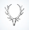 Skull of deer. Vector drawing Royalty Free Stock Photo