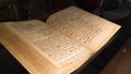 ancient book with old handwritten humanist text