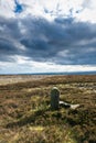 An ancient boundary stone on Ilkley moor. Yorkshire Royalty Free Stock Photo