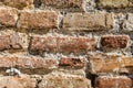 Ancient brick wall in Albania as a background Royalty Free Stock Photo