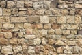 Ancient brick wall Royalty Free Stock Photo