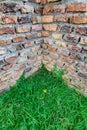 Ancient brick wall corner and grass Royalty Free Stock Photo