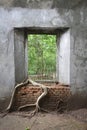 Ancient brick window with nature and old concrete stone wall surrounding with tree roots outside view in historical temple