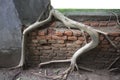 Ancient brick window with nature and old concrete stone wall surrounding with tree roots outside view in historical temple