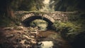 Ancient bridge arches over tranquil pond in lush green forest generated by AI