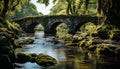 Ancient bridge reflects beauty of nature in tranquil forest generated by AI Royalty Free Stock Photo