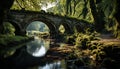 Ancient bridge reflects tranquil forest landscape, a nature masterpiece generated by AI