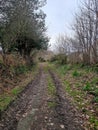 ancient Bridleway Devon traveling from a38 to dartmoor National Park Devon uk Royalty Free Stock Photo