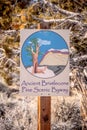 Ancient Bristlecone Pine Forest - LONE PINE CA, USA - MARCH 29, 2019