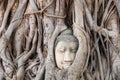 Ancient buddha head in Ayutthaya in Bangkok in Thailand