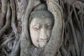 Ancient Buddha head embedded in tree roots. The symbol of the city Ayutthaya, Thailand Royalty Free Stock Photo