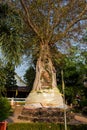 Ancient buddha head embeded in banyan tree from Ayutthaya, Thailand Royalty Free Stock Photo