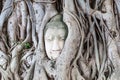 Ancient buddha head embeded in banyan tree from Ayutthaya, Thailand Royalty Free Stock Photo