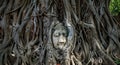 Ancient Buddha Head Enveloped by the Roots of a Banyan Tree in Thailand statue Royalty Free Stock Photo