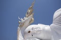 Ancient buddha statue and antique naga guardian for thai people travelers travel visit and respect praying blessing wish myth holy