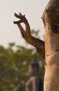 Ancient buddha statue at Sukhothai Historical Park, Thailand Royalty Free Stock Photo