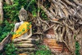 Ancient Buddha Statue with tree roots and brick wall background Royalty Free Stock Photo