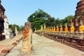 Ancient buddha statues face to face and ruins of Wat Yai Chaimongkol temple in Ayutthaya, Thailand.