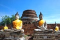 Ancient buddha statues and ruined pagoda at Wat Yai Chai Mongko