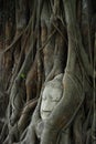 Ancient Buddhism head