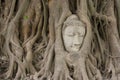 Ancient Buddhism head