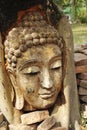Ancient Buddhism head in root